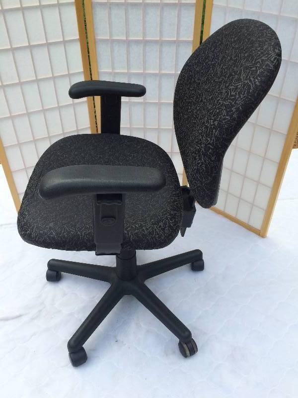 Superior Furniture Co Multi-Adjustible & Functional Ergonomic Custom Midback Lumbar Support Office Chair - Retails New $500.00 Executive Suite Business Home Office Clinic