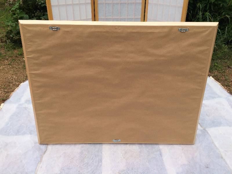 Excellent Condition Large Waiting Room Photography Picture Framed & Matted Art Piece - Frog - Wood Frame Matches Other Furniture In This Auction