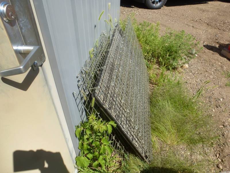 Wire Dog Kennel