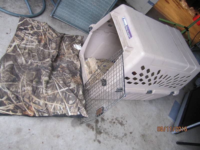 lot 50 image: Large Pet Mate deluxe pet kennel...