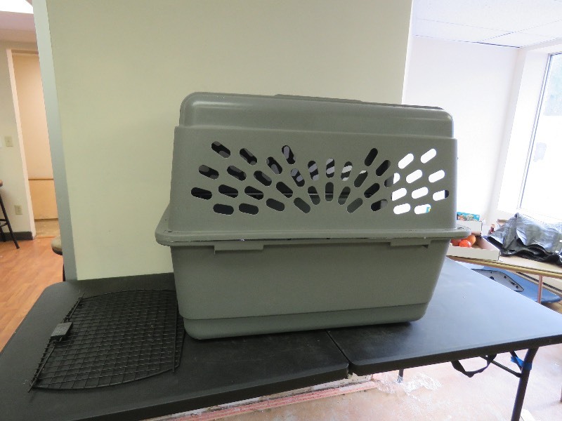 large dog kennel