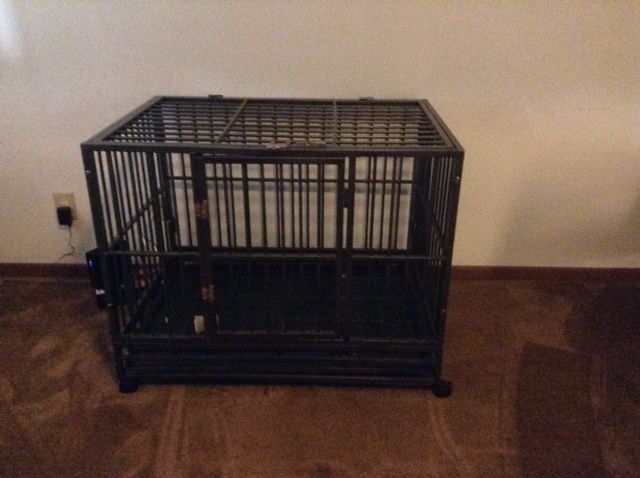 Dog Kennel