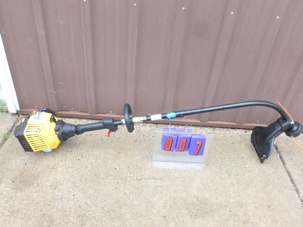 SnS Auctions # 225 Late Summer Outdoor