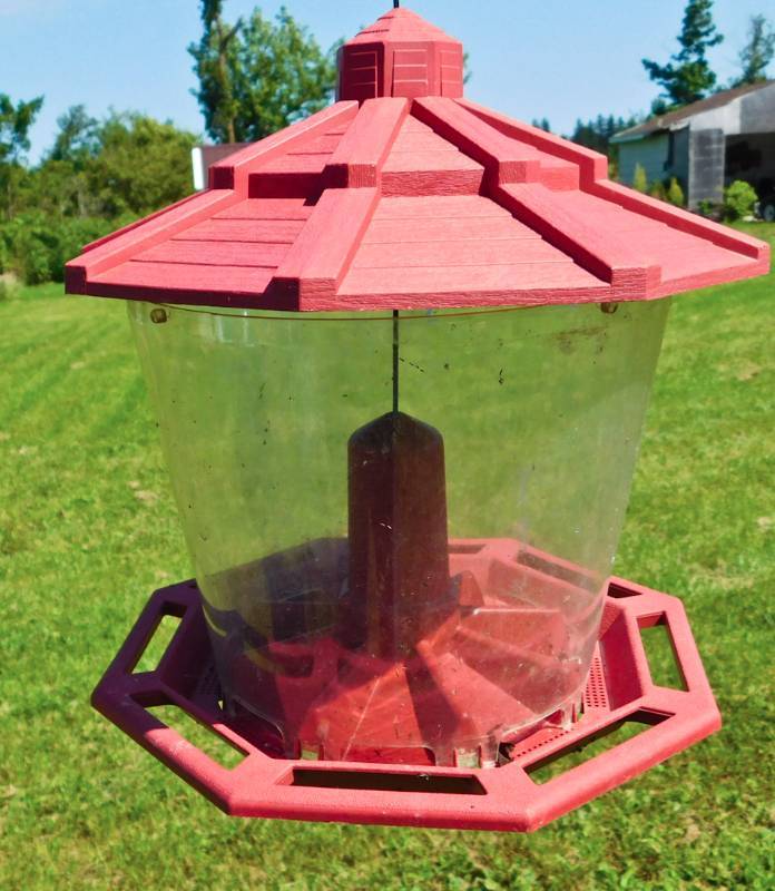 3 hanging bird feeders and yard stand