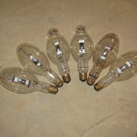 Light bulbs