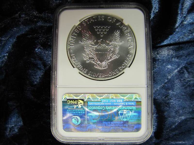 2013 AMERICAN SILVER EAGLE 1 TROY OZ. .999 FINE SILVER IN AIR TIGHT HOLDER