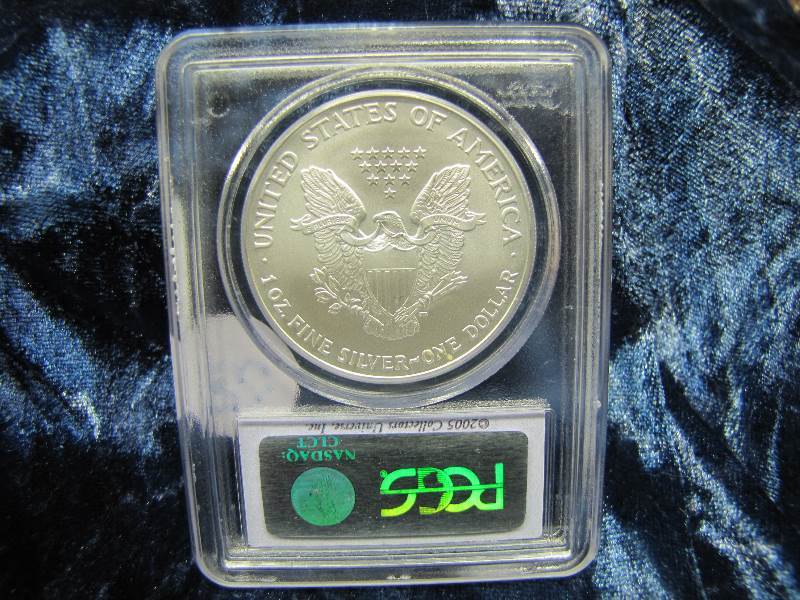 2005 S AMERICAN SILVER EAGLE 1 TROY OZ. .999 FINE SILVER 20th ANNIVERSARY