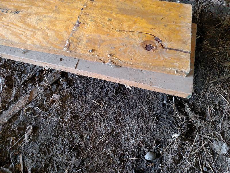 (2) Laminated Beams, 2 x 16 x 20...