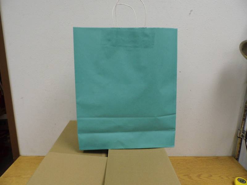 Case of 100 Shopping Bags