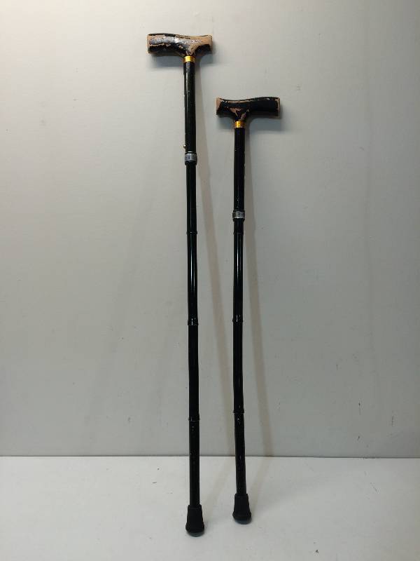 Cane