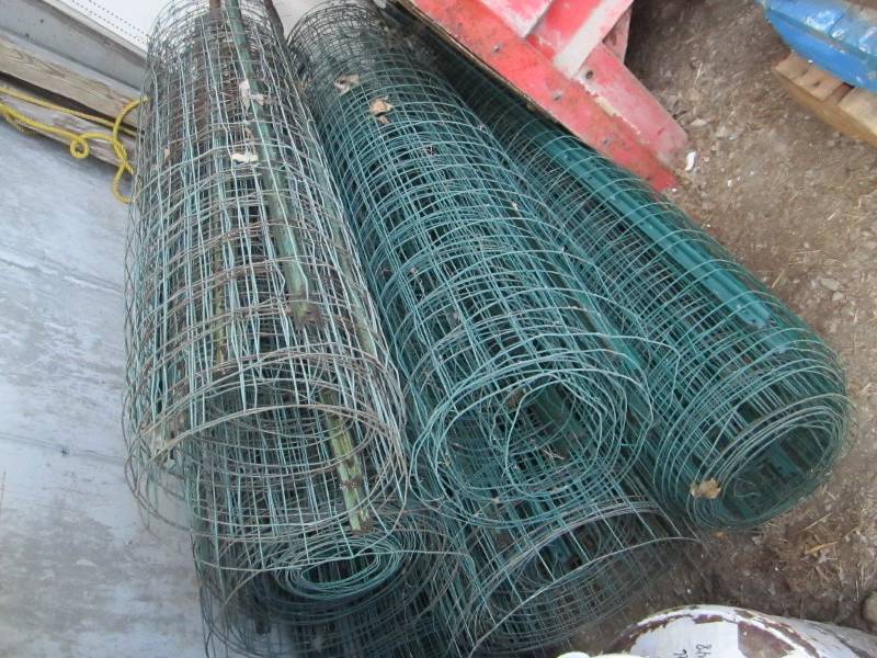 Large lot of green wire fencing, several rolls with posts attached, ready to install
