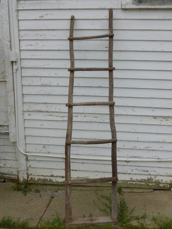 lot 20 image: Tree Limb Ladder
