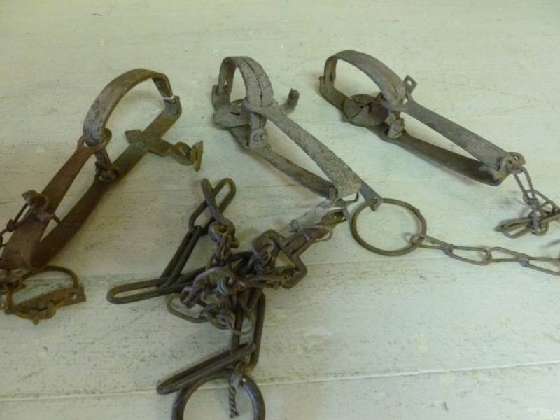 lot 33 image: Vintage Traps