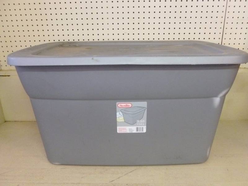lot 253 image: Storage Tote
