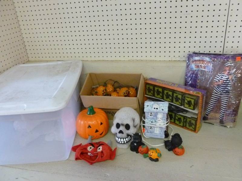 lot 333 image: Halloween Items