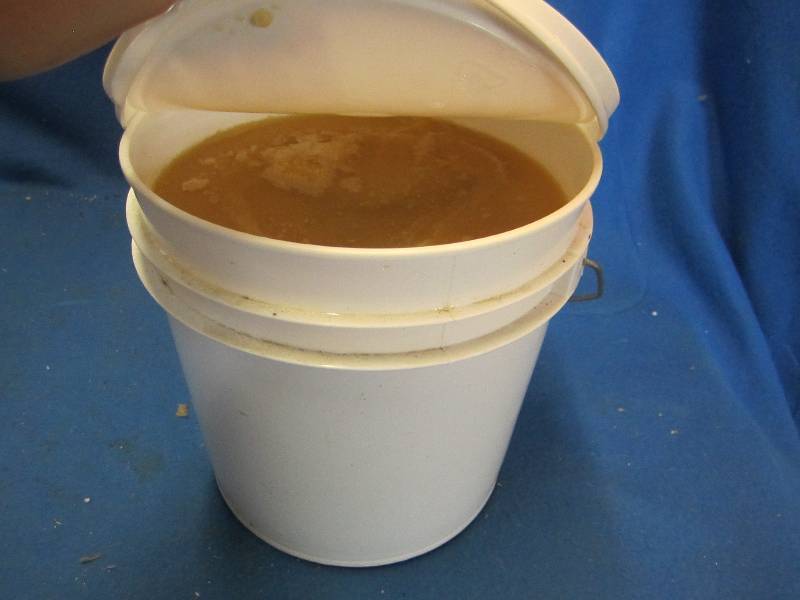 Gallon of pure Minnesota grown hone...