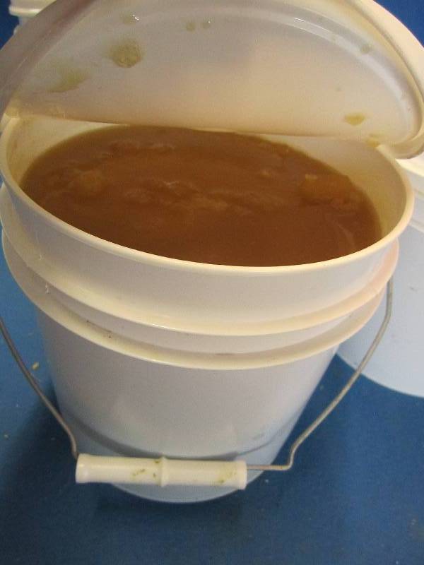 Gallon of pure Minnesota grown hone...