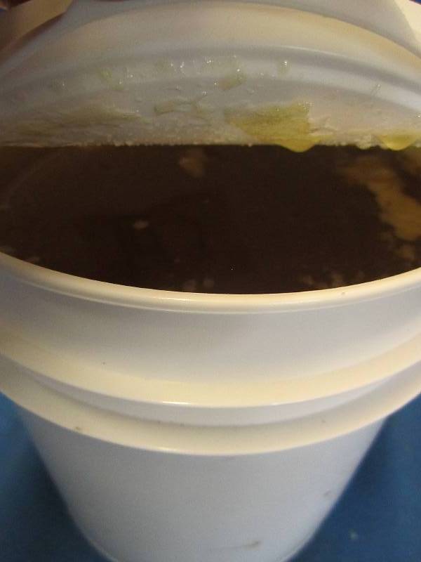 Gallon of pure minnesota grown hone...