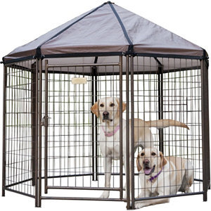 lot 8 image: Advantek Gazebo 5 x 5 x 5 Portable Pet Kennel