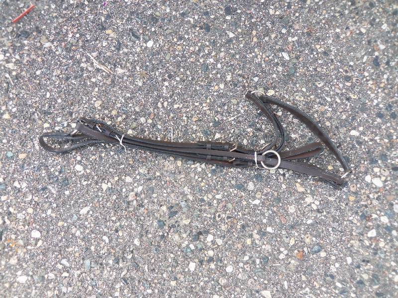 Leather Reins