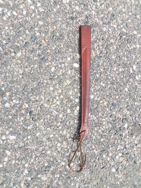 Riding Whip