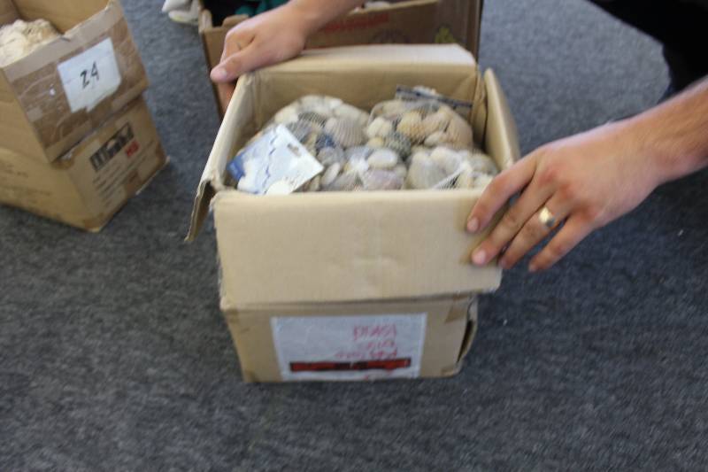 lot 231 image: Lot of (2) Boxes of Aquarium Polished River Rock