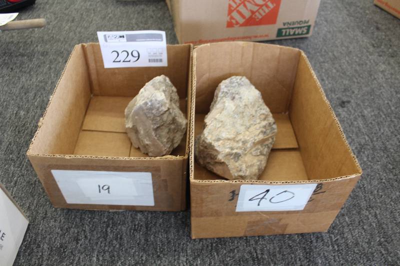lot 229 image: Lot of (2) Boxes of Large Rocks