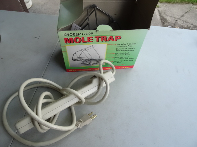 lot 169 image: New Mole Trap, Outlet Strip