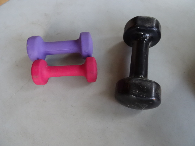 lot 242 image: 3 Hand Weights