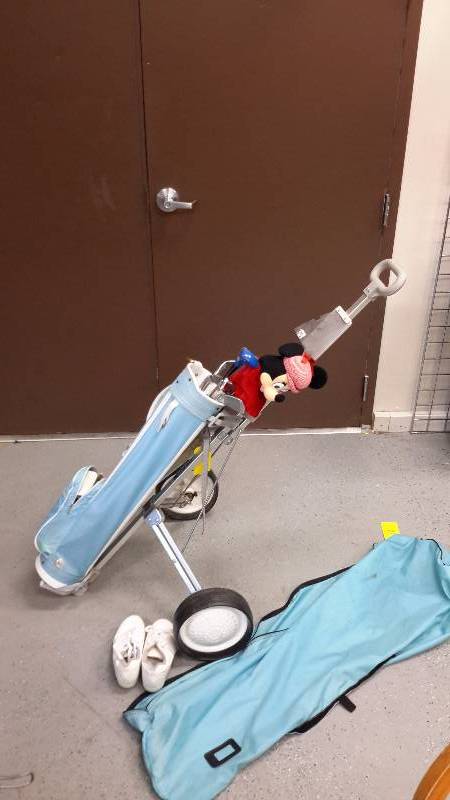 Womens golf set with golf cart and shoes