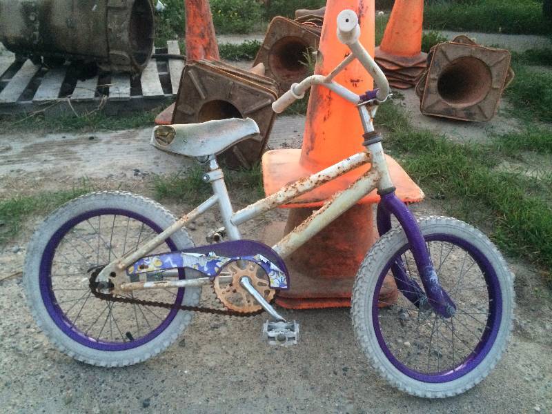 Purple Bike