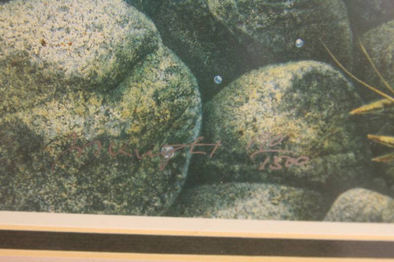 lot 3-2 image: Framed Walleye Print by Jon Q Wright 1901500