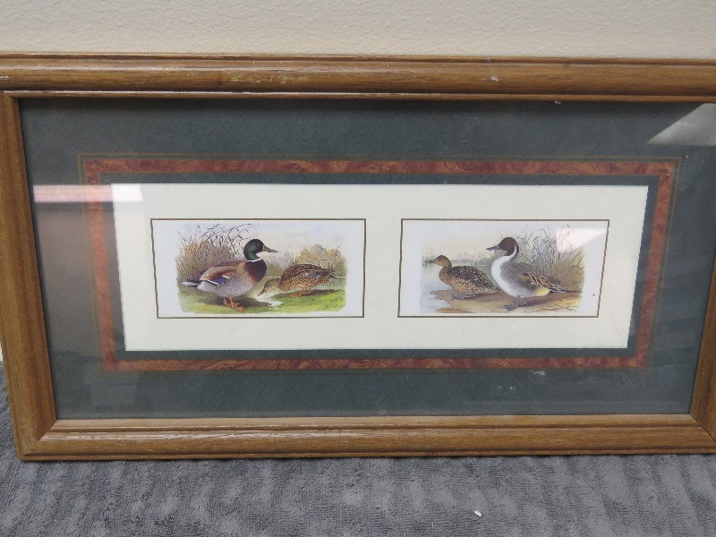 lot 50 image: Duck Picture