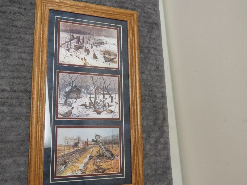 lot 51 image: Pheasant Picture X 3