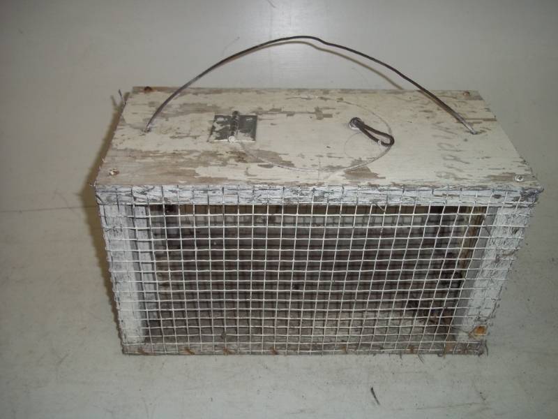 lot 15 image: Pet Cage 8 x 8 x 15