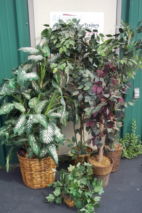 lot 323 image: Lot of Artificial trees