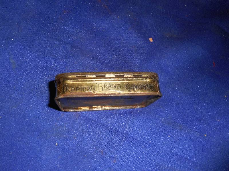 ANTIQUE TROPICAL GINGER BOX