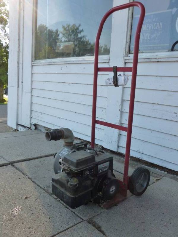 lot 6 image: Pacer Pumps