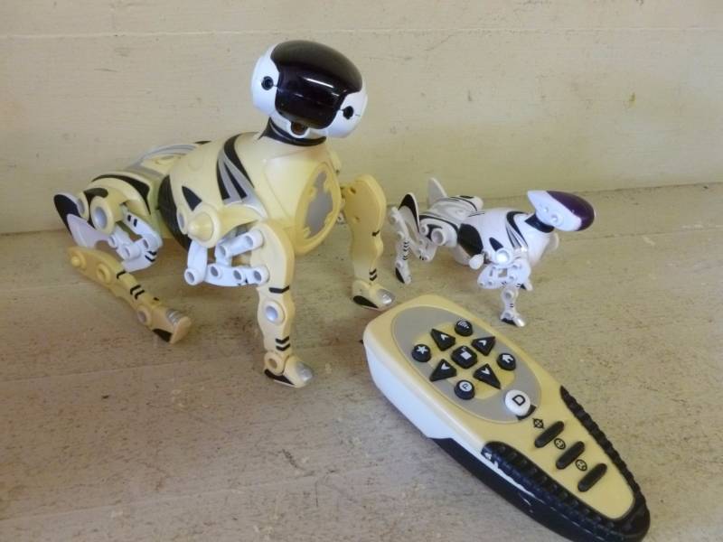 lot 225 image: Robot Toy