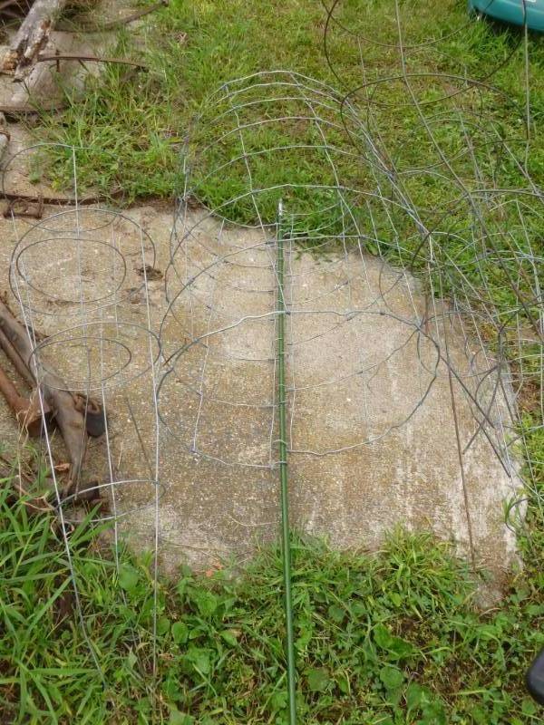 lot 437 image: Tomato Cages