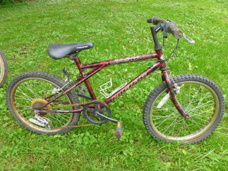 lot 442 image: Bike