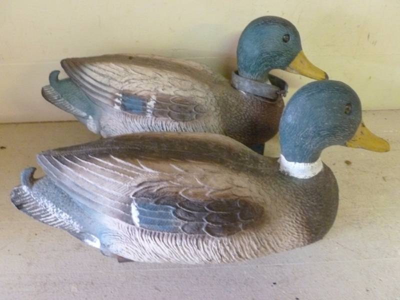 lot 453 image: Duck Decoys