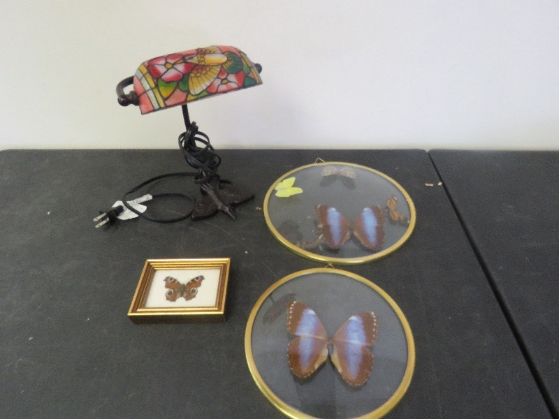Butterfly lot