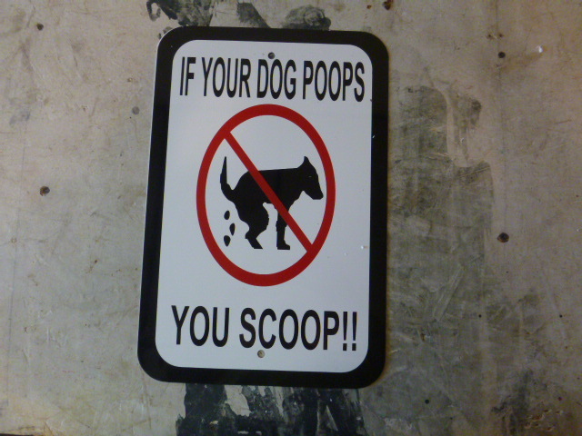 Metal If Your Dog Poops, YOU SCOOP Sign