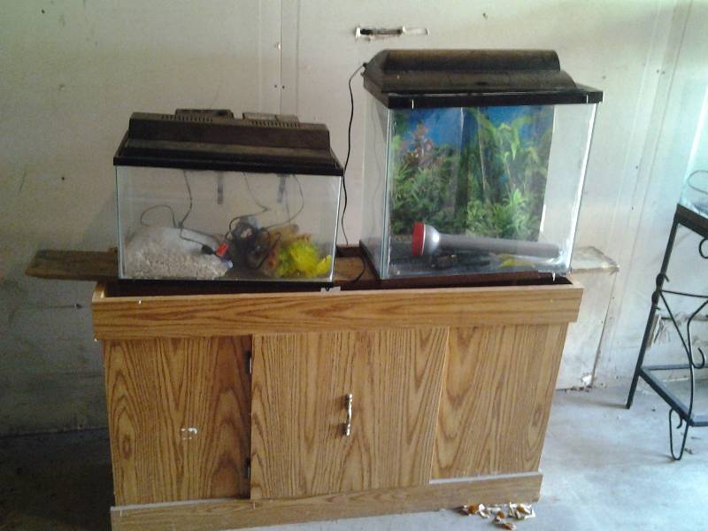 lot 86 image: 2-Aquariums 20x10x18 & 20x12x12, 1-Stand With Accessories 48x12x28