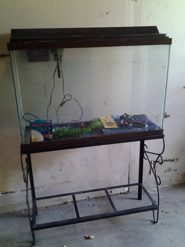 lot 87 image: Large Aquarium 36x12x24 With Metal Stand 36x13x30 With Accessories