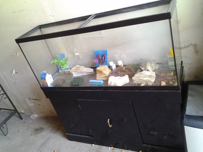 lot 88 image: Large Aquarium 48x12x21 & Stand 48x12x28 With Accessories