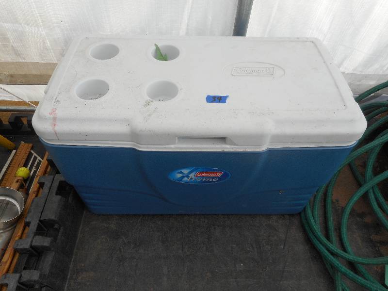 EXTRA LARGE COLEMAN COOLER