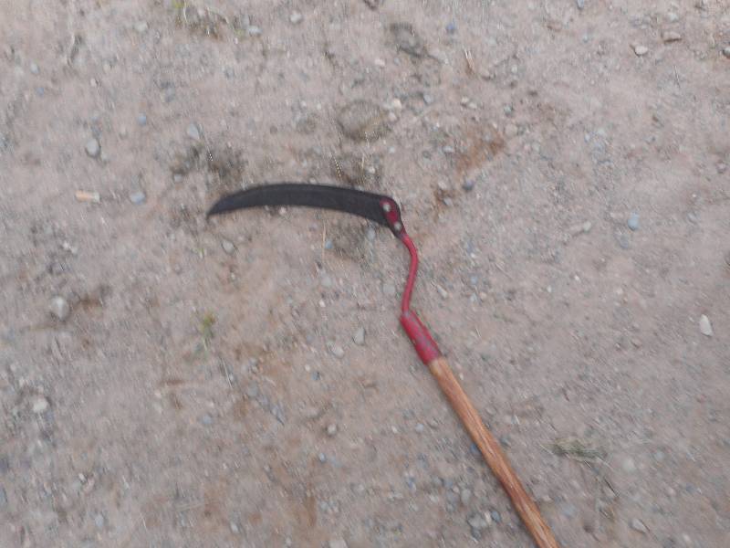 SYE FOR CUTTING WEEDS