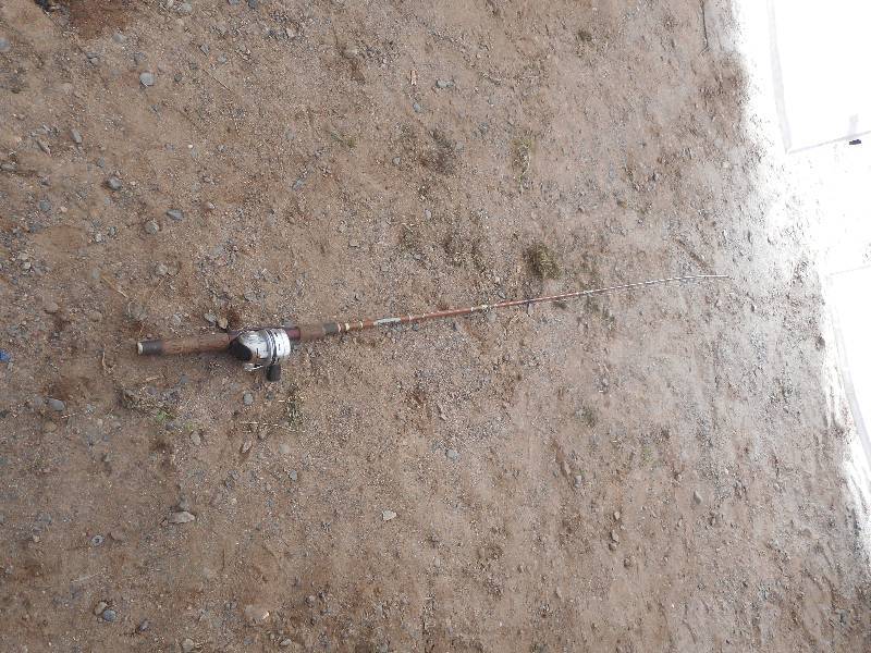 FYBROMATIC ROD AND REEL